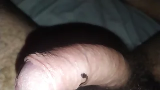I am a fucking faggot furry
