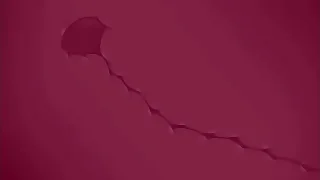 Unconcerned furry porn 4: friends chiefly the beach